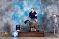Kerry Blue #5 Fri G1 Judge Jon Cole