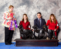 English Cocker Spaniel #5 Wed Group Shot