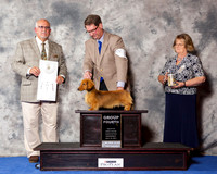 Miniature Longhaired Dachshund #5 Wed G4