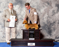 Miniature Longhaired Dachshund #5 Wed G4 RESHOOT