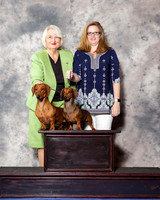 Smooth Dachshund #15 #16 Wed Claudia Edwards CUSTOM
