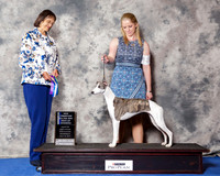 Whippet #26 Wed BOW NC Maj