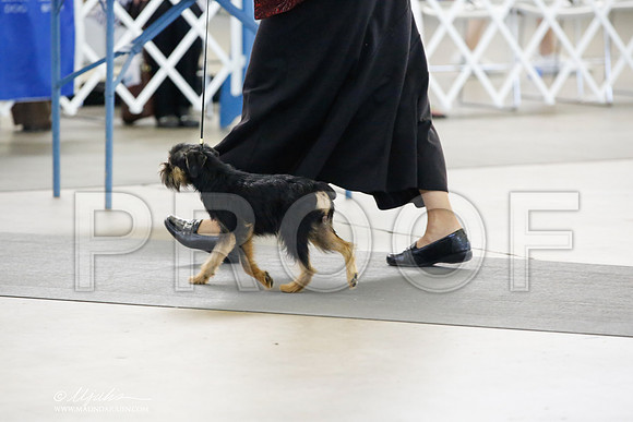 _CK_1473-DallasJul2014-HR3