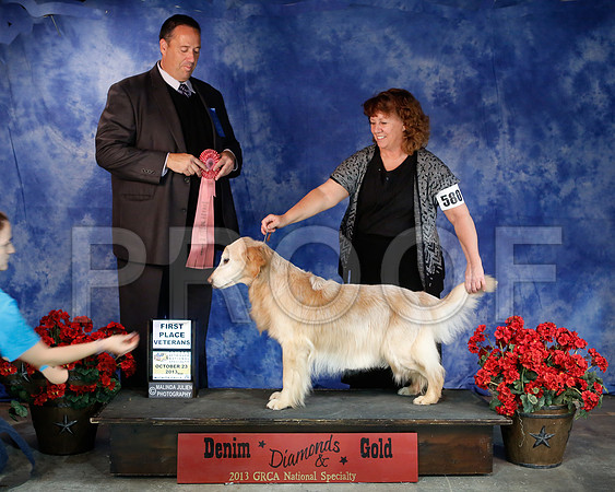 SweepsVet-6300-WFOct2013-HR