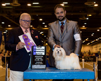 Lhasa Apso #6 Thr WB NC
