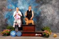 Norwich Terrier #5 Sun OHG1 Judge Debra Thornton