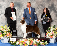 Australian Shepherd #19 Thr G4