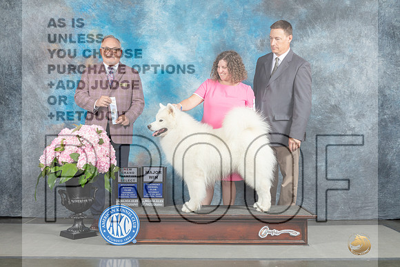 Samoyed #21 Sat SD Judge Ken Murray-_MJ_6920e_Hstn2022-HR3