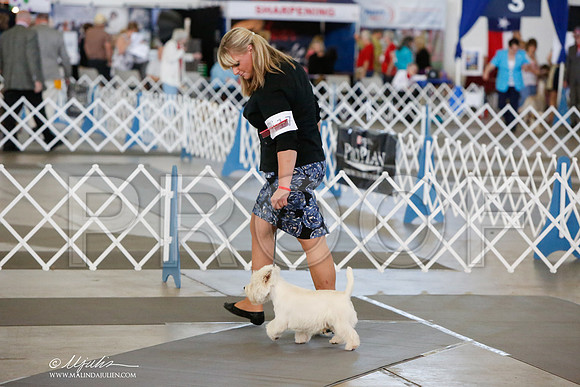_JJ_8582-DallasJul2014-HR3
