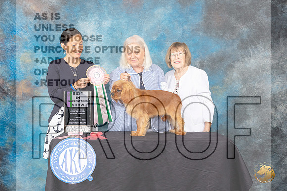 Cavalier King Charles Spaniel #23 Fri BISweeps Judge M Nicole Morrison_JP_9932_ToyHstn2023_HR3