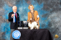 Papillion #7 Fri BOWM BPup Judge Ted W Eubank