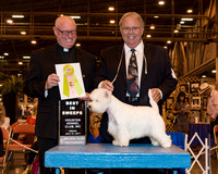 West Highland White Terrier #26 Fri BIS