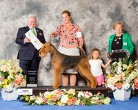 Airedale #7 Fri G4