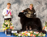 Newfoundland #10 Fri BOS NC