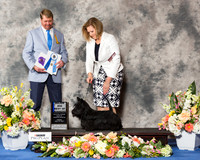 Scottish Terrier #28 Fri BOW Maj