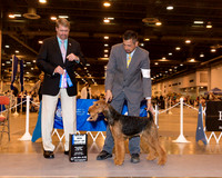 Airedale #16 Sat BOW Maj