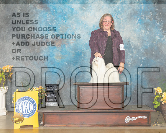 Maltese #5 Fri G4 Judge Betty Pollock-MMJ_9882-NWARK2022-HR3