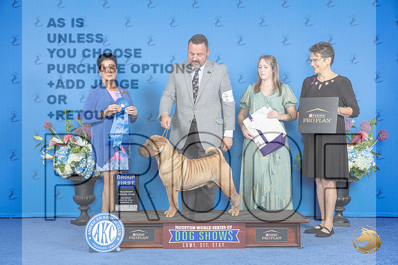 Chinese Shar Pei #5 SAT G1 Judge Douglas Freeman__JP_0004_Houston_2024_HR3