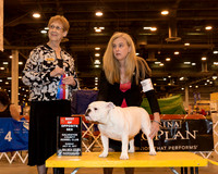 Bulldog #24 Sun WB