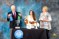 Cavalier King Charles Spaniel #17 Fri2 BBE Judge Ted W Eubank