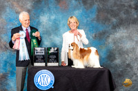 Cavalier King Charles Spaniel #8 Fri2 SBBVet Judge Ted W Eubank