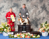 Cavalier #5 Sun G3