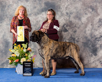 Mastiff #9 Sun G3