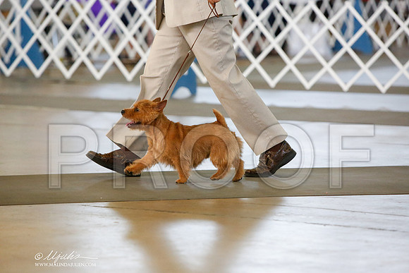_JJ_8085-DallasJul2014-HR3