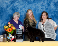 #64 S1 SB Lori Samuels & Mark Samuels Judge Beverly Henry