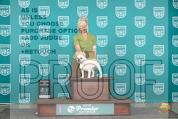 French Bulldog #1137 Sat COC Judge Stephanie Mueller__JP_2874_Premier_2024_HR3