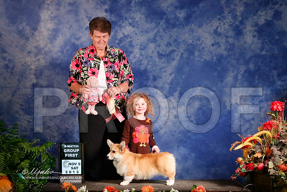 CorgPW-4988-HstnNov13-HR