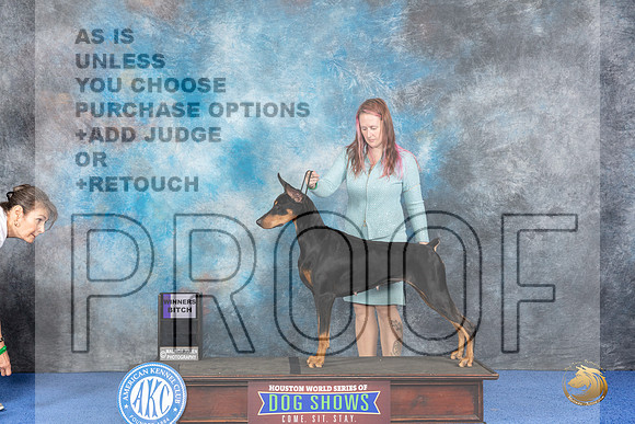 Doberman #28 WED WB Judge Alisa Brotherhood__JP_6704_Houston_2024_HR3