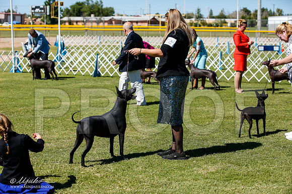 _JJ_8575-AlamogordoOct2014-HR3