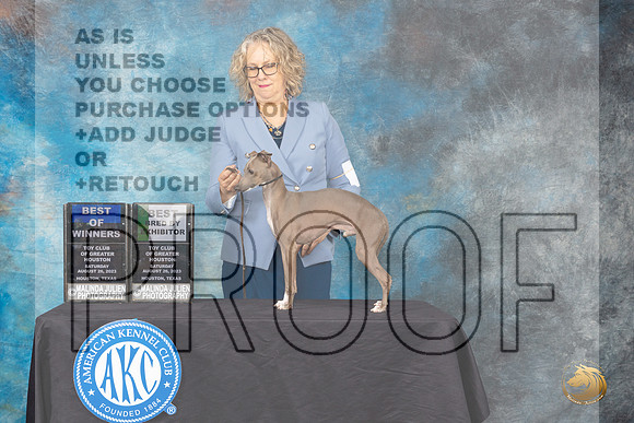 Italian Greyhound  #7 SAT WD BOW BBBE   Judge Linda Hurlebaus _JP_0409_ToyHstn2023_HR3