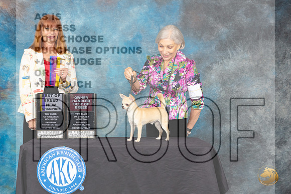 Chihuahua #5 Sat WDBOW BOBOH Judge Linda Hurlebaus _JP_0459_ToyHstn2023_HR3
