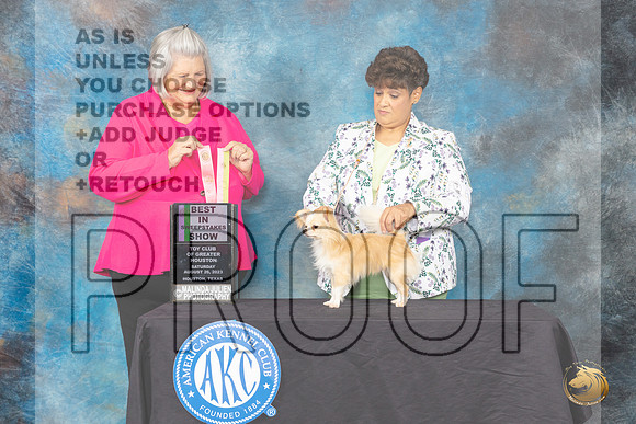 Chihuahua Long Coat #11 Sat BIS Judge Janet Warner_JP_0522_ToyHstn2023_HR3