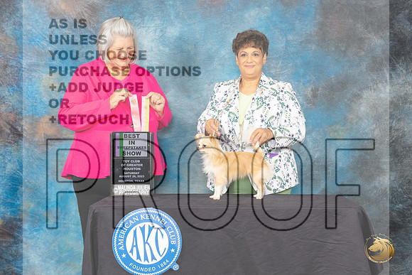 Chihuahua Long Coat #11 Sat BIS Judge Janet Warner_JP_0525_ToyHstn2023_HR3