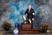 Chinese Cresteds #5 Fri OHG1 Judge Claire Wisch Abraham