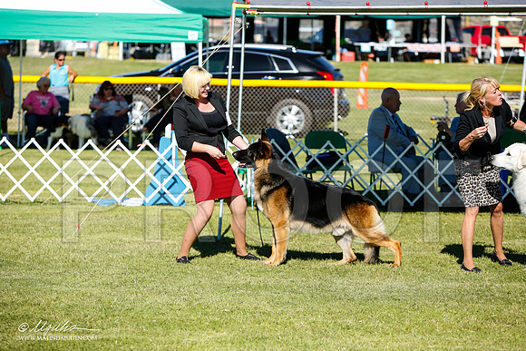 _JJ_6197-AlamogordoOct2014-HR3