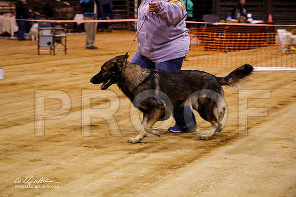 GSD-7279-MrshllDec13-HR