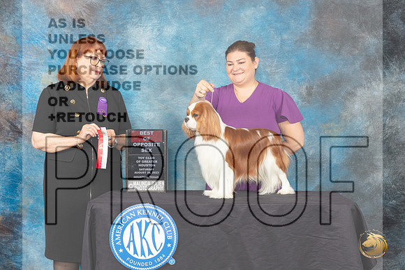 Cavalier King Charles Spaniel #25 Sat BOS Judge Gwendolyn Wells_JP_0600_ToyHstn2023_HR3