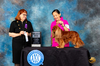 Cavalier King Charles Spaniel #9 Sat SD Judge Gwendolyn Wells