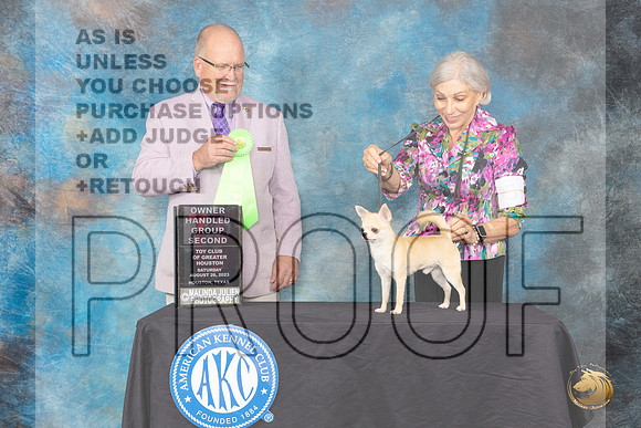 Chihuaha Smooth #5 Sat OHG2 Judge John Constantine-Amodei_JP_0728_ToyHstn2023_HR3
