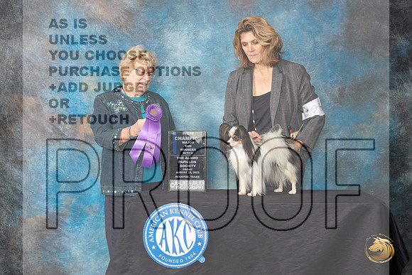 Papillion #20 Friday 2 WB Judge Judith A Brown_JP_0027_ToyHstn2023_HR3