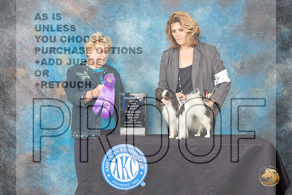 Papillion #20 Friday 2 WB Judge Judith A Brown_JP_0028_ToyHstn2023_HR3