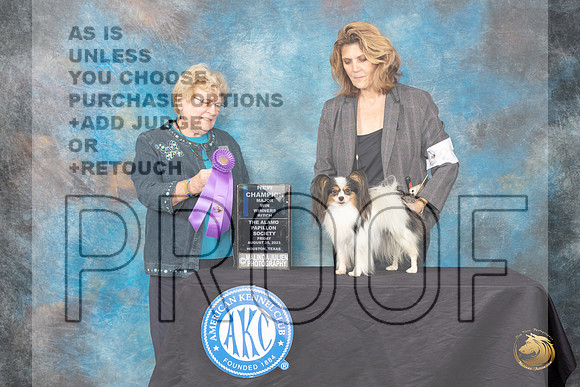 Papillion #20 Friday 2 WB Judge Judith A Brown_JP_0033_ToyHstn2023_HR3