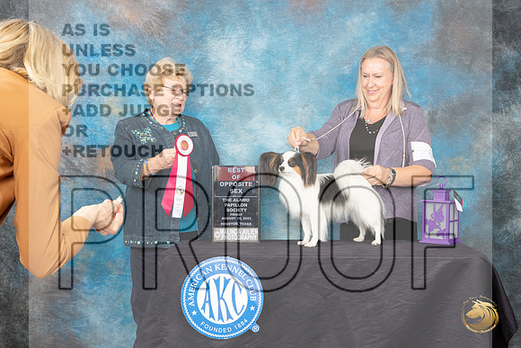 Papillion #24 Friday 2 BOSM Judge Judith A Brown_JP_0060_ToyHstn2023_HR3