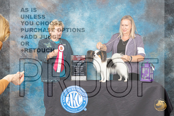 Papillion #24 Friday 2 BOSM Judge Judith A Brown_JP_0061_ToyHstn2023_HR3