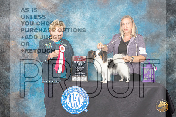 Papillion #24 Friday 2 BOSM Judge Judith A Brown_JP_0064_ToyHstn2023_HR3