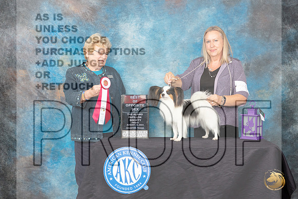 Papillion #24 Friday 2 BOSM Judge Judith A Brown_JP_0065_ToyHstn2023_HR3